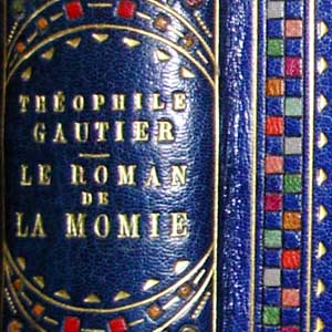 Closeup of the spine